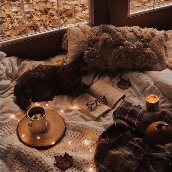 Cozy Fall Settings✨🍂✨ - Picture 1 of 5